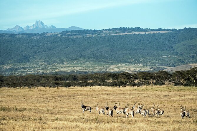 5 Days Mount Kenya Climbing Via Chogoria Sirimone Route - Day four: the 3 a.m. climb to Point Lenana