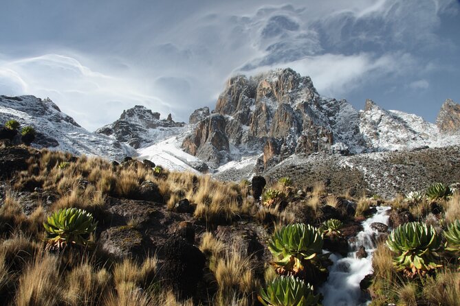 5 Days Mount Kenya Climbing Via Chogoria Sirimone Route - Day one: Chogoria road and 11 kilometers through bamboo
