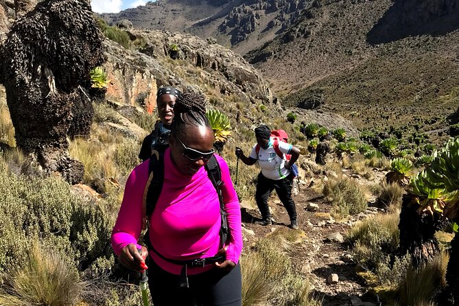 5 Days Mt. Kenya Sirimon route out Chogoria Route with Peak Circuit - What the $960 price really covers