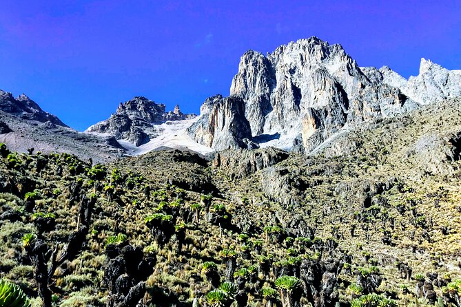 5 Days Mt. Kenya Sirimon route out Chogoria Route with Peak Circuit - The support team and private format