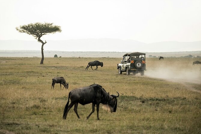 5 Days of Kenyan Magic: A Whirlwind Safari Adventure - Day 4: Lake Nakuru to peaceful Lake Naivasha