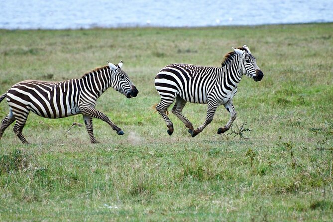 5 Days of Kenyan Magic: A Whirlwind Safari Adventure - What the $1,800 price really covers