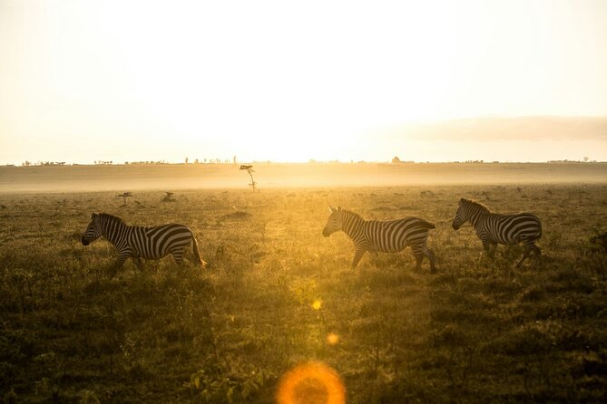 5 Days of Kenyan Magic: A Whirlwind Safari Adventure - The guide and service side of the trip