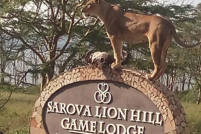 5 Days Safari to Aberdare N/P, Nakuru N/P and Maasai Mara N/R. - From Nairobi’s farms to Aberdare’s forest
