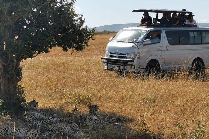 5 Days safari to Maasai Mara ,Lake Nakuru and Hell's gate national park - The Mara River and the migration route