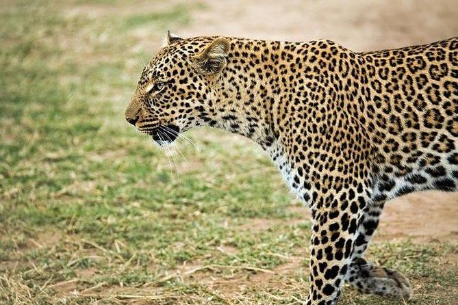 5 Days safari to Maasai Mara ,Lake Nakuru and Hell's gate national park - Leaving Mara for Lake Nakuru