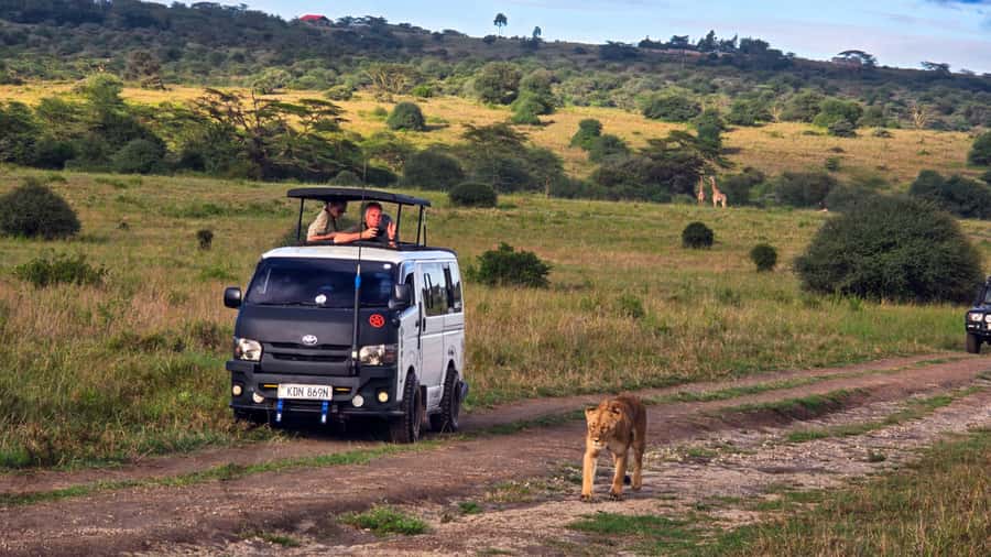 5-Hour Nairobi National Park 4x4 Safari with Free Pickup - Nairobi National Park, where the city becomes your backdrop