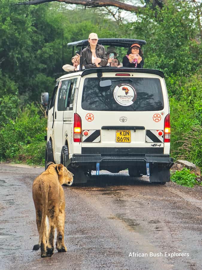 5-Hour Nairobi National Park 4x4 Safari with Free Pickup - Choosing shared, small-group, or private touring