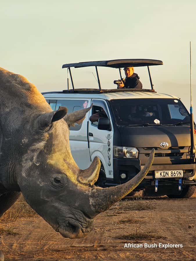 5-Hour Nairobi National Park 4x4 Safari with Free Pickup - Morning, afternoon, or evening wildlife watching