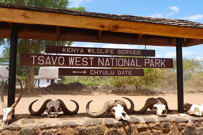 5days Tour Tsavo East & west, Amboseli from Mombasa / Nairobi - The guide and private-tour setup