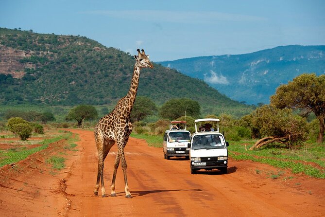 5days Tour Tsavo East & west, Amboseli from Mombasa / Nairobi - Who should book this safari