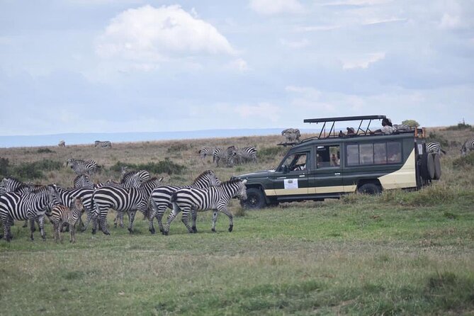 6 Day Nairobi-Amboseli-Maasai Mara Private Semi Luxury Tour - Day 1: Nairobi to Amboseli and the first Kilimanjaro view