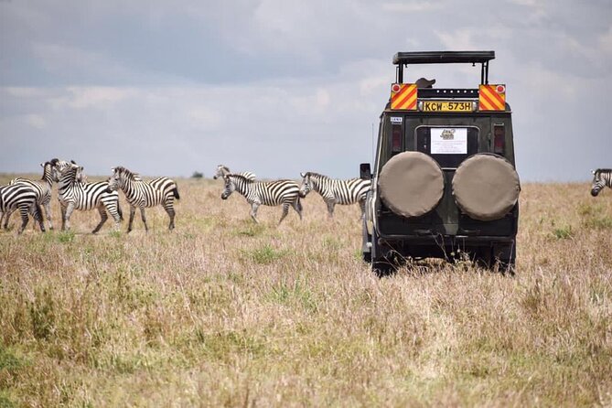 6 Day Nairobi-Amboseli-Maasai Mara Private Semi Luxury Tour - Day 3: The long transfer to Lake Nakuru