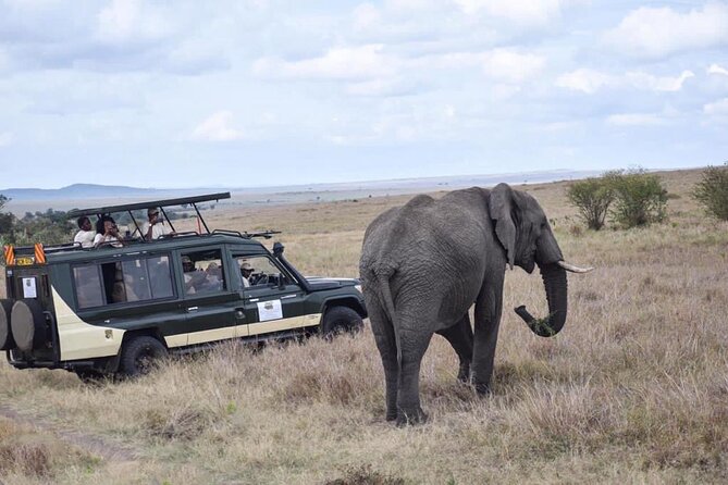 6 Day Nairobi-Amboseli-Maasai Mara Private Semi Luxury Tour - Day 5: The main Maasai Mara safari day