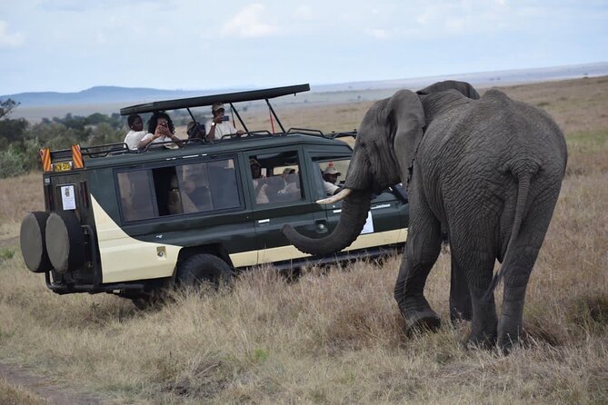 6 Day Nairobi-Amboseli-Maasai Mara Private Semi Luxury Tour - Day 6: The drive back to Nairobi and the Mau Escarpment