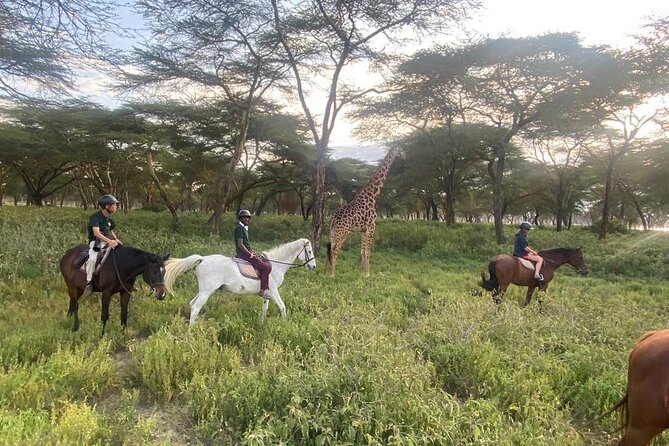 6 Day Nairobi-Amboseli-Maasai Mara Private Semi Luxury Tour - Day 2: A full Amboseli day with early and late drives