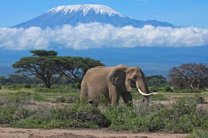 6-Day Private Landcruiser Safari to Masai Mara, Nakuru & Amboseli - Day 1: Nairobi to Masai Mara via the Rift Valley