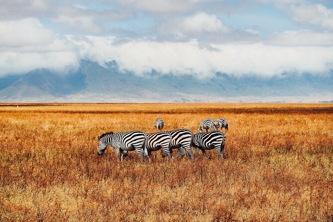 6 Days best of kenya safaris Maasai Mara-Lake Nakuru Amboseli National Park - Day 4: Lake Nakuru’s flamingos, rhinos, and shoreline birds