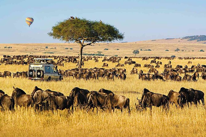 6 Days Group Multi Day Tour Masai Mara Lake Nakuru and Amboseli - Why this Kenya safari works as a six-day circuit