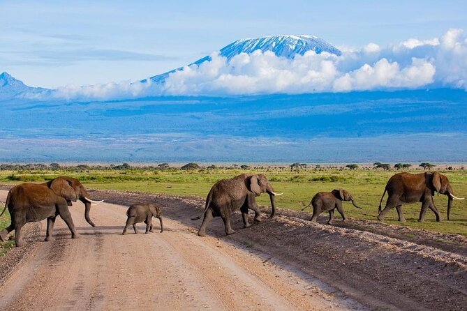 6 Days Group Multi Day Tour Masai Mara Lake Nakuru and Amboseli - Accommodation, food, and daily comfort