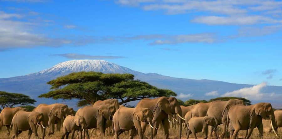 6 Days, Group Safari to Masai Mara, Lake Nakuru and Amboseli - Day 1: Nairobi to Maasai Mara by way of the Rift Valley
