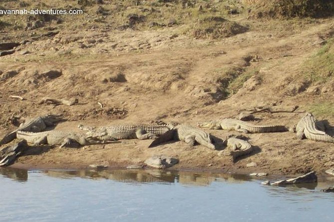 6 days guided safari: nairobi / lake nakuru / lake naivasha / masai mara n r - Day 6: Returning to Nairobi before departure