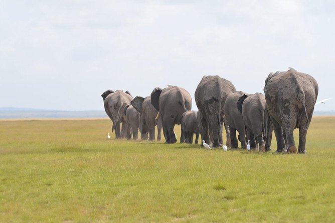 6 Days in Masai Mara- Lake Nakuru- Amboseli - Day 1: Nairobi to Masai Mara via the Rift Valley
