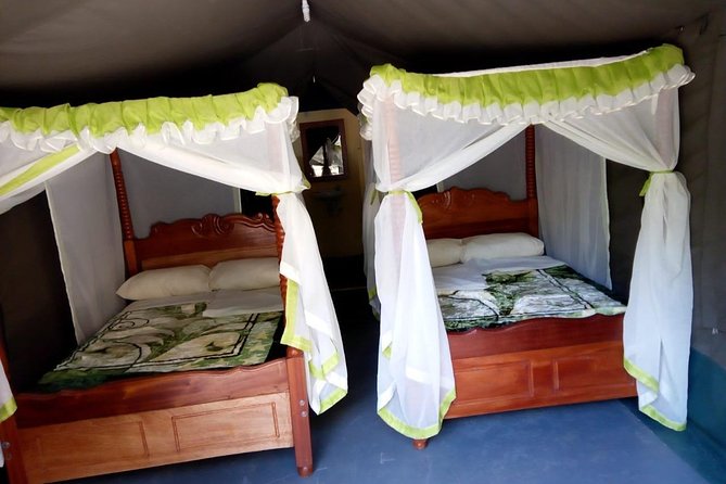6 Days in Masai Mara- Lake Nakuru- Amboseli - Day 5: Amboseli elephants and possible Kilimanjaro views
