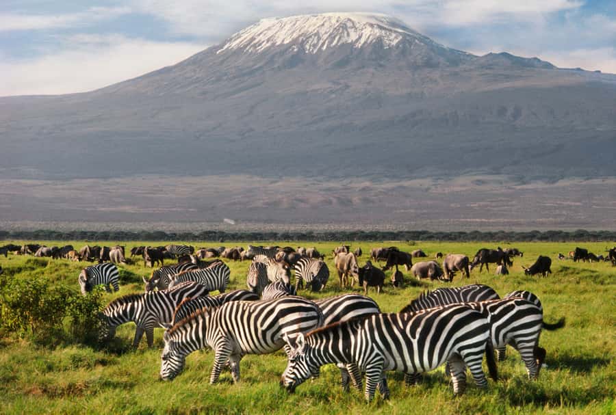 6 Days Kenya Budget Safari - Vehicles, guides, and the daily rhythm