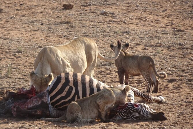 6 Days Kenya Masai Mara,Lake Nakuru & Amboseli Wildlife Safari - What the $2,000 price covers