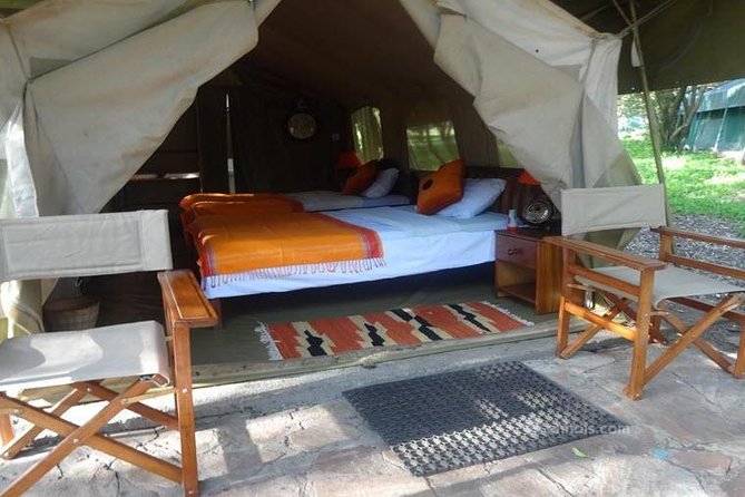 6 Days Maasai Mara/Nakuru/Amboseli Group Safari - Three Kenyan parks, three very different safari moods