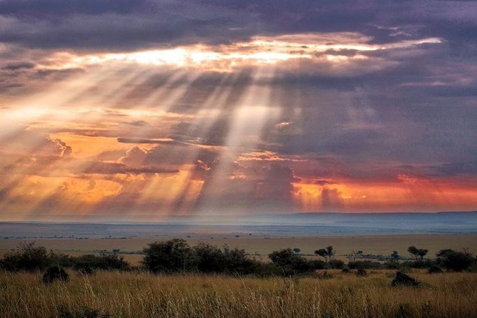 6 Days Maasai Mara/Nakuru/Amboseli Group Safari - Day 2: A full Maasai Mara game-viewing day