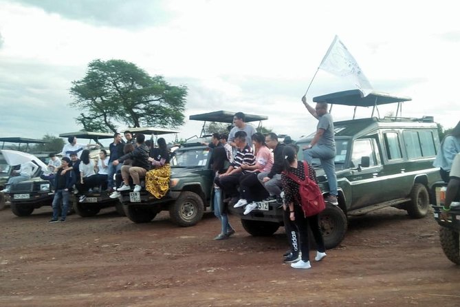 6 Days Maasai Mara/Nakuru/Amboseli Group Safari - What the $925.80 price really gives you