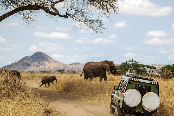 6 Days Masai Mara, Lake Nakuru and Amboseli Budget Group Safari - Day three: leaving the Mara for Lake Nakuru