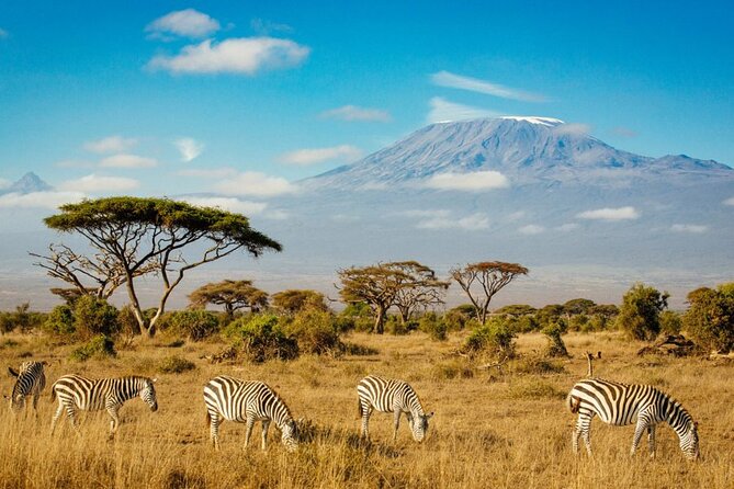 6 Days Masai Mara, Lake Nakuru and Amboseli Budget Group Safari - Day six: one last drive and the road back to Nairobi