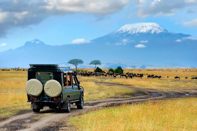 6 Days Masai Mara, Lake Nakuru and Amboseli Budget Group Safari - Day one: the Rift Valley and first look at Masai Mara