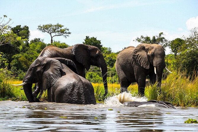 6-Days of Elephants, Wildebeest and Big 5: Kenya’s Classic Safari - What the $2,848 price means