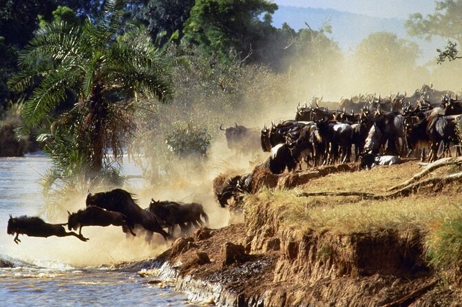 6 Days of Kenyan Wonders: Amboseli, Lake Nakuru, and Masai Mara - Day 3: A long transfer to Lake Nakuru