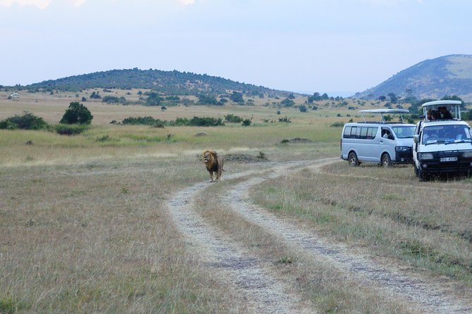 6 Days private safari package Kenya - What this six-day Kenya safari actually promises