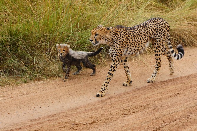 6 Days private safari package Kenya - What makes Amboseli special