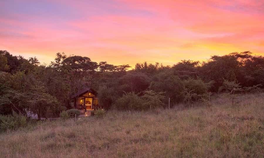 6 Days Small Group Safari To Masai Mara, Nakuru And Amboseli - Three Kenyan parks in six busy days