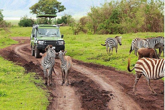 6Days Amboseli, Lake Nakuru and Masai Mara Camping Safari on Jeep - Day 5: A full Masai Mara day and the Mara River