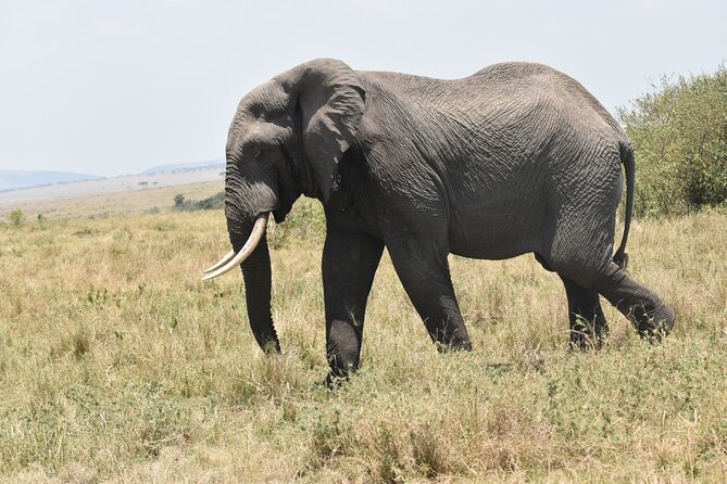 7 Day Private Jeep Safari, 5 star lodges with Balloon Ride Kenya - Day 4: Hell’s Gate by bicycle and Lake Naivasha by boat