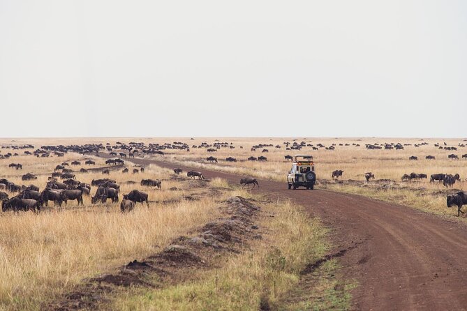 7 Day Private Jeep Safari, 5 star lodges with Balloon Ride Kenya - Day 7: Final game drive and return to Nairobi