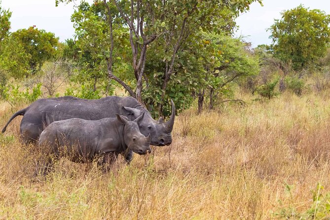 7-Day Private Tour in Kenya National Parks From Nairobi / Mombasa - Four parks, one ambitious week