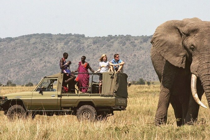 7-Day Private Tour in Kenya National Parks From Nairobi / Mombasa - Day 3: Rhinos and flamingos at Lake Nakuru