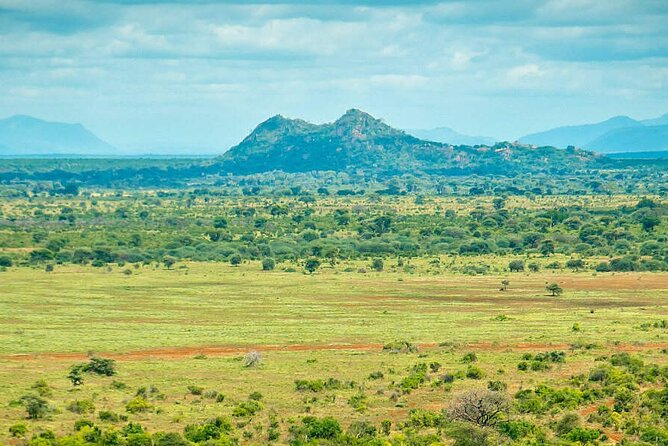 7-Day Private Tour in Kenya National Parks From Nairobi / Mombasa - Day 7: A final drive and return to Nairobi