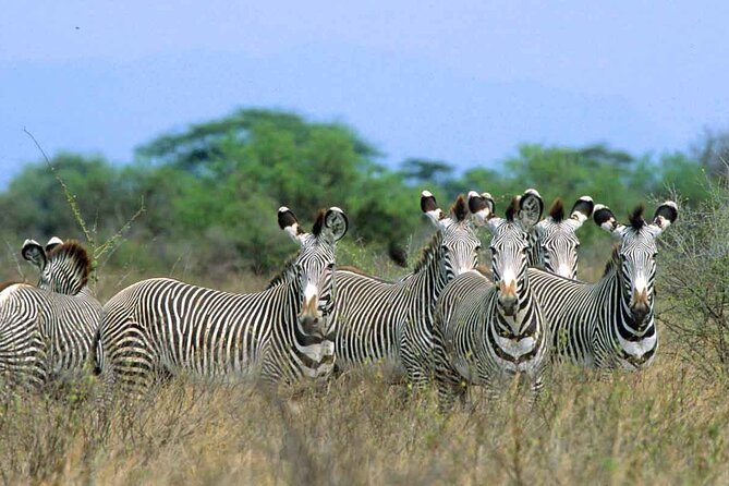 7-Day Private Tour in Kenya National Parks From Nairobi / Mombasa - What the $2,550 price covers