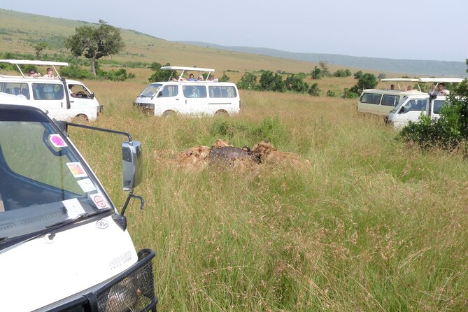 7 Days Amboseli-Lake Naivasha-Lake Nakuru & Masai Mara - Day 2: a full day in Amboseli