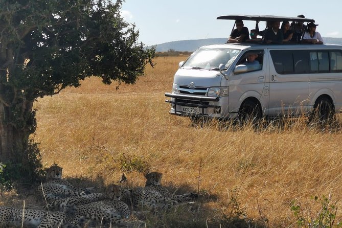 7 Days Amboseli, Naivasha, Maasai Mara and Lake Nakuru game parks - Day 6: The Mara River and a Maasai cultural visit